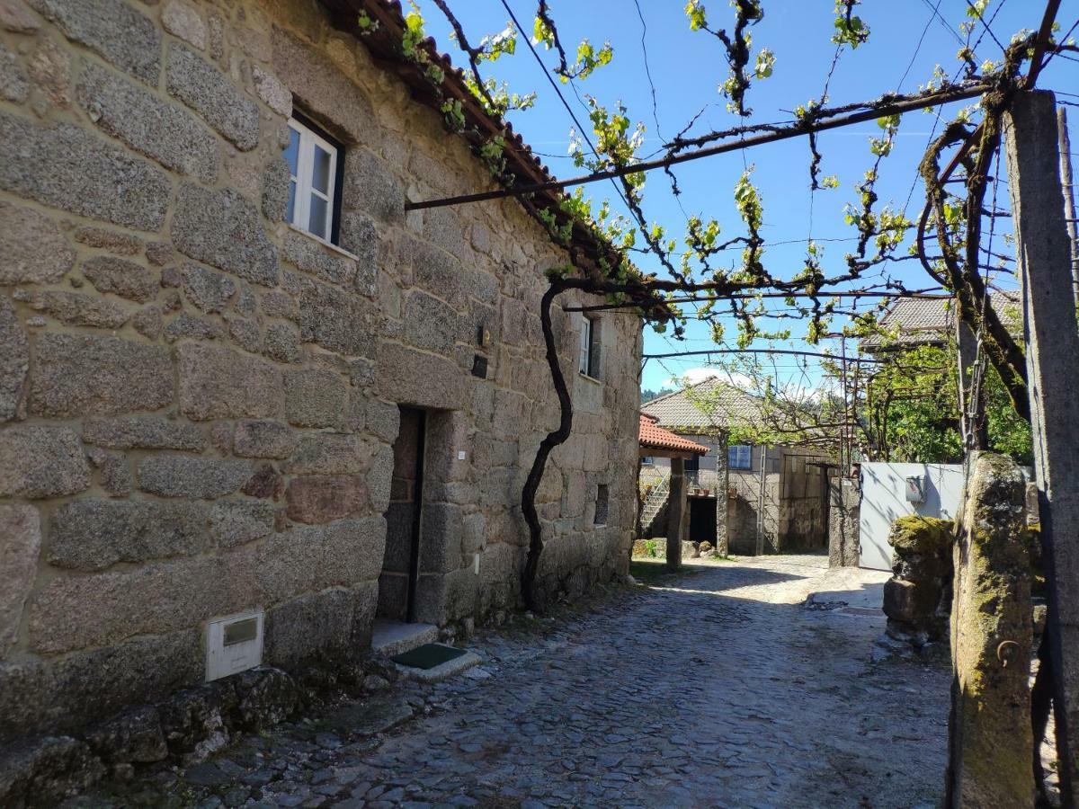 Casa Padre Alexandre Guest House Covide Екстериор снимка